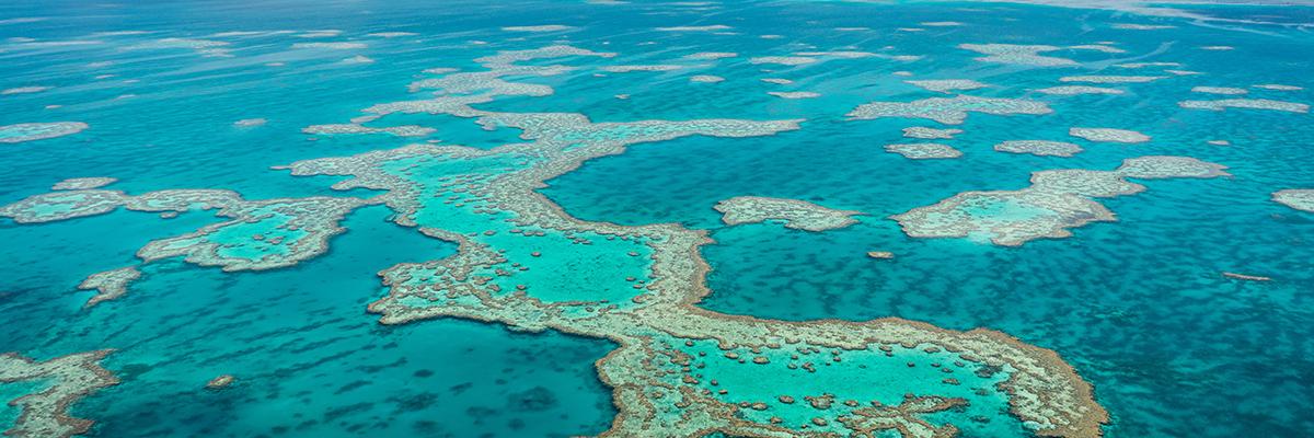 Save $255 CAD on Sydney & Great Barrier Reef Vacation when Booked by March 31, 2024