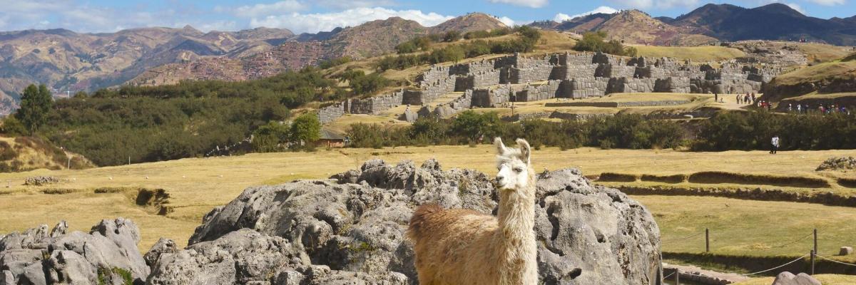 Explore Peru and Nazca lines in Style